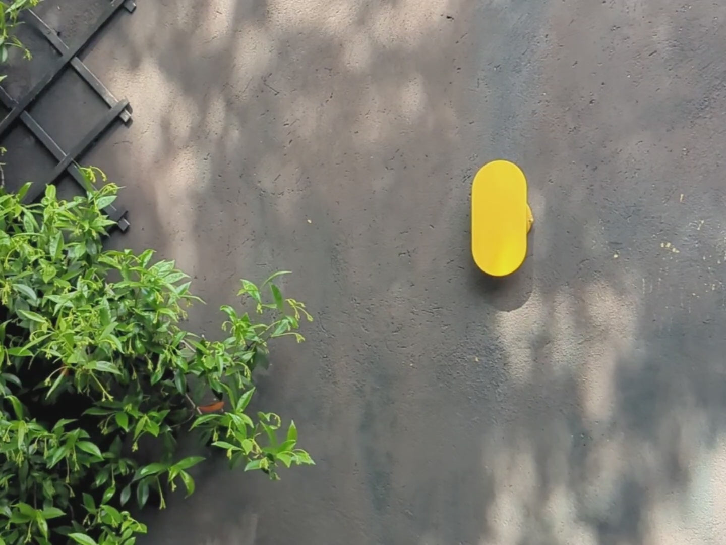 A yellow oval-shaped flat metal panel contains integrated LED bulbs that diffuse light around the circumference of the light. Installed against a charcoal-coloured wall in the garden. Suitable for indoor and outdoor use.
