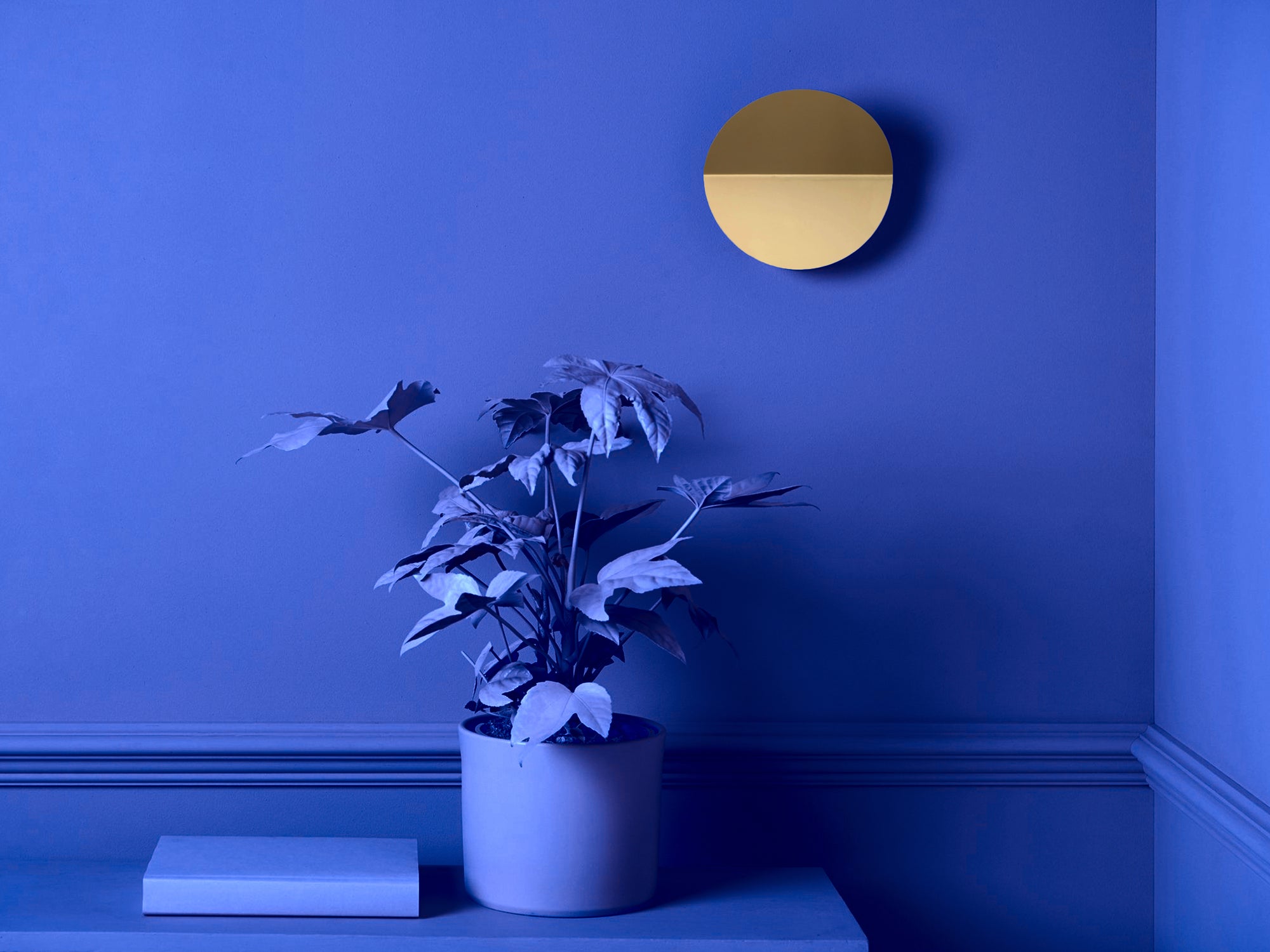 A brass circular wall light that sits flush to the wall, with a subtle fold and integrated LED bulbs set against a blue wall with blue-coloured props, a plant and a book.